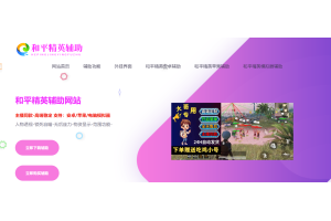 和平精英辅助-稳定的和平精英透视外挂网站