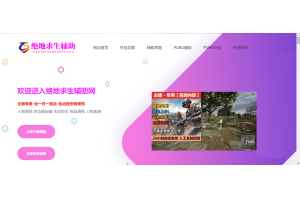 绝地求生辅助-PUBG透视自瞄外挂网