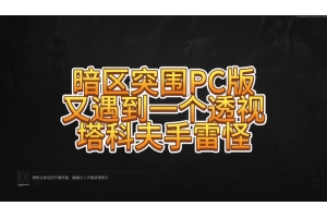 暗区突破材质透视工具 v1.96（透视材质包怎么用）