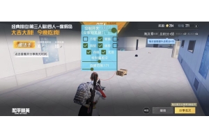 和平精英斑马全防基址稳定辅助软件 v12.17