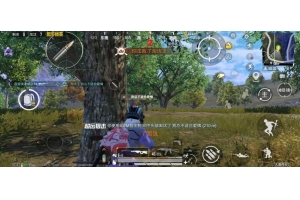 和平精英苹果内部文件-和平PC模拟器显物射线绘制神器